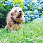 Julia Capalbo - Instagram Profile Picture of Julia Capalbo (@julia_cristina_92) on Instagram