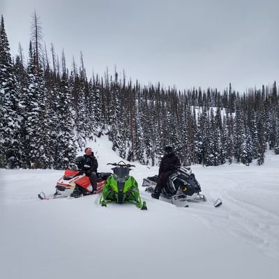 Profile Picture of David Roose (@david_roose7) on Twitter