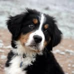 Profile Picture of Stephany Detinne (@Stephany-Detinne) on Facebook