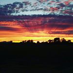 Profile Picture of joshua celestine (@joshuacelestine) on Instagram