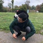 Profile Picture of Karl Shao (@karlshao) on Instagram