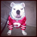 Profile Picture of Jeremy Lantz (@jlantzcle) on Instagram