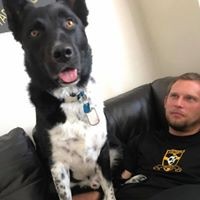 Profile Picture of Adam Leicht (@adam-leicht) on Quora