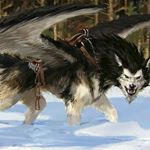 Profile Picture of Chad Whiteley (@chadwhiteley) on Instagram