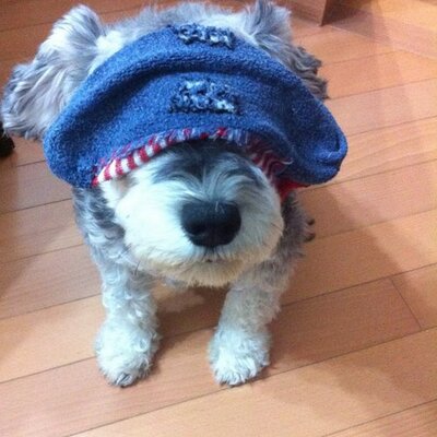 Profile Picture of Paul Leung (@paulleung2) on Twitter
