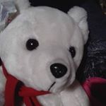 Profile Picture of Corey Charlton (@charlton8146) on Instagram