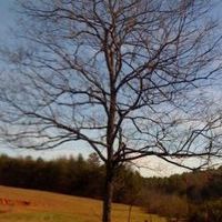 Profile Picture of Chris (@craines117) on Pinterest