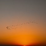 Profile Picture of Alan Robledo (@alan_javier_robledo) on Flickr