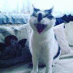 Profile Picture of Luisa Aileen Kirchner (@luisa_05254) on Instagram