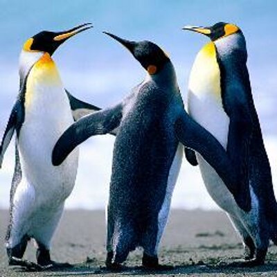 Profile Picture of Jose Espin (@JoseJoseespin) on Twitter