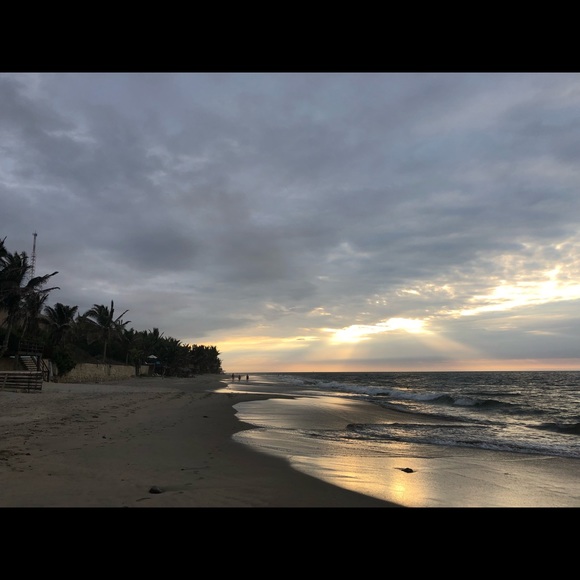 Profile Picture of Filippa Juul (@filippa_nyc) on Poshmark