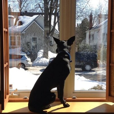 Profile Picture of David Millard (@llimard) on Twitter