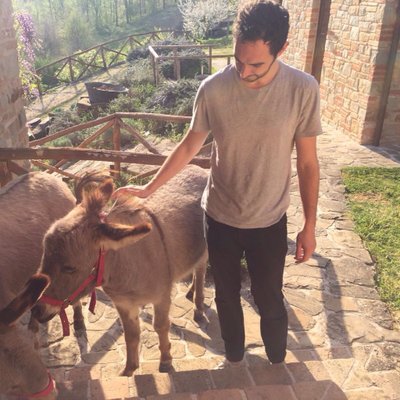 Profile Picture of Liam Mansfield (@liammansfield) on Twitter