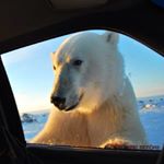 Profile Picture of Trevor Gavinchuk (@tgavinchuk) on Instagram