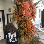 Profile Picture of Kara Fitzgibbon (@karajanedh) on Instagram