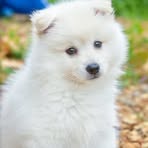 Profile Picture of Cecelia Haisley (@Cecelia-Haisley) on Facebook