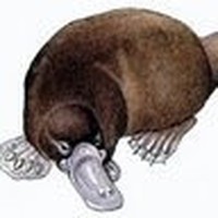 Profile Picture of Jonathan Barney (@jonathan-barney-12) on Quora