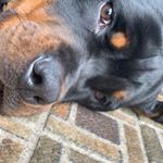 Profile Picture of asher talbot (@asher.talbot) on Instagram