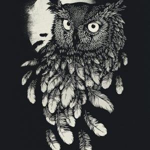 Profile Picture of Rohit Pal (@rohitpal4455) on Twitter