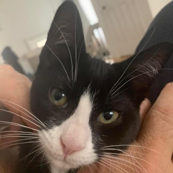 Profile Picture of Guylaine Dion (@guylaine_dion) on Poshmark