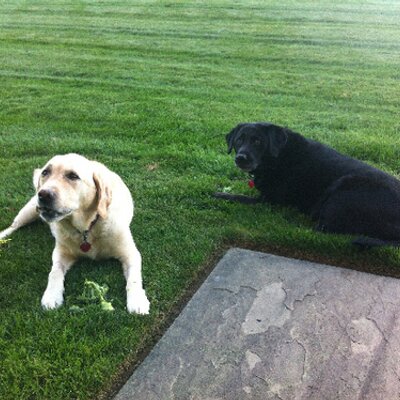 Profile Picture of Scott Diskin (@ScottDiskin) on Twitter