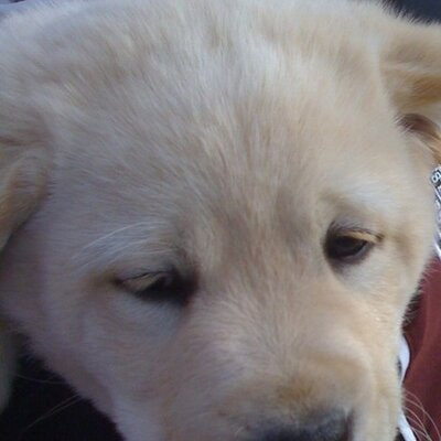 Profile Picture of Stephen Menke (@@stephenmenke) on Twitter