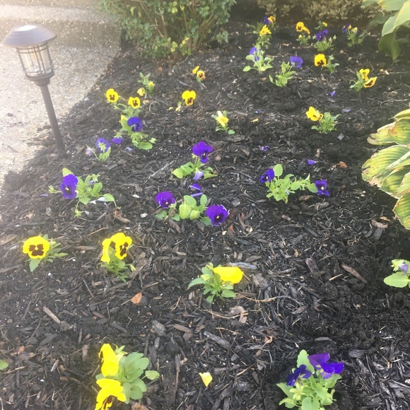 Profile Picture of Joel Chavez (@amoremio3480) on Poshmark