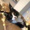Profile Picture of Dani Vetter (@@danivetter0) on Tiktok