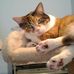Profile Picture of Lori Weisman (@lori.weisman.75) on Facebook