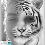 Profile Picture of Andrew Joos (@therealandrewjoos) on Instagram