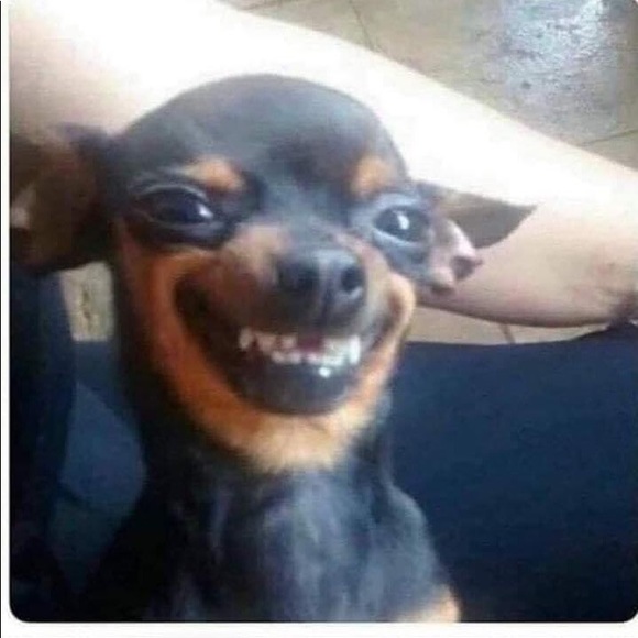 Profile Picture of Fresh Fresh (@fresh_f) on Poshmark