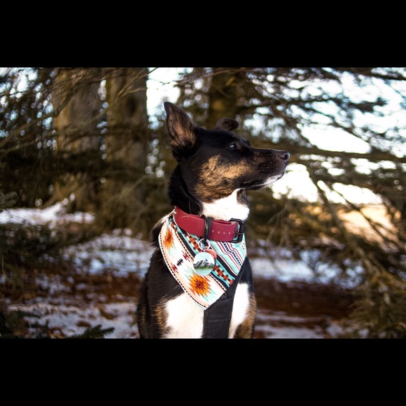 Profile Picture of Julie Kudlowich (@jkud89) on Poshmark