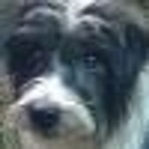 Profile Picture of Laura Goulding (@187973287) on Myspace