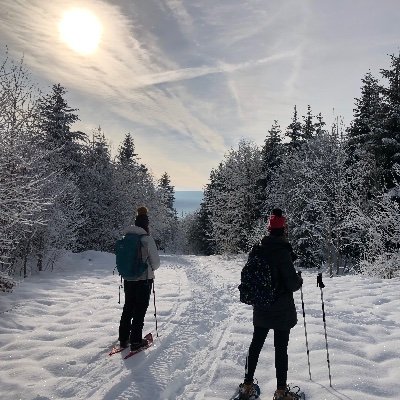 Profile Picture of Kevin Brun (@KekoBrun) on Twitter