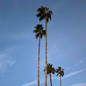 Profile Picture of Finn Jones (@FinnJOfficial) on Youtube