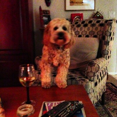 Profile Picture of Joe Wiesenfeld (@fazwiesenfeld) on Twitter