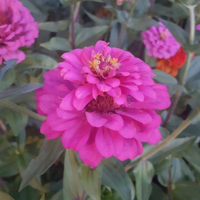 Profile Picture of   Stephanie Ackley... (@momforever2.0) on Tiktok