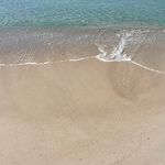 Profile Picture of Heidi Ziegler (@heedeerx) on Instagram