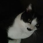 Profile Picture of Jan Cooley (@jancooley4572) on Instagram