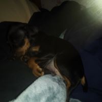 Profile Picture of Shawna Bowers (@shawna-bowers-3) on Quora