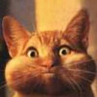 Profile Picture of Kevin Mountain (@KevinMountain2) on Twitter