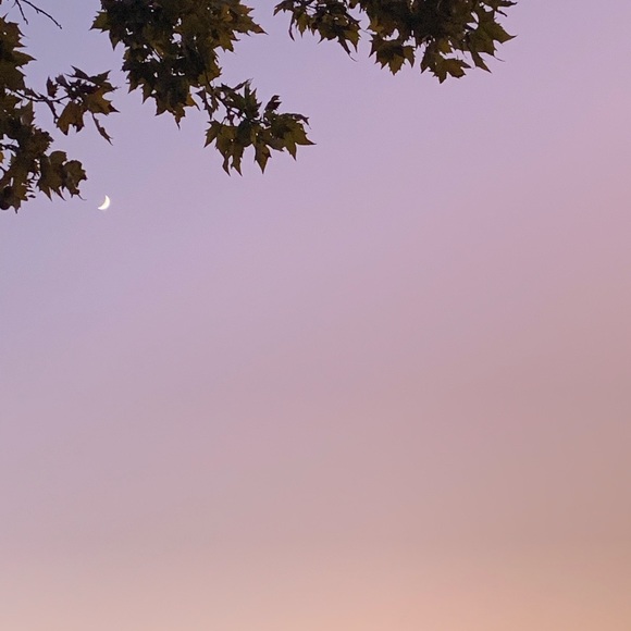 Profile Picture of Amiyah/lizzy Hayes (@amiyahhayes) on Poshmark