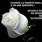 Profile Picture of Cesar Govea (@cesar.govea.16) on Instagram