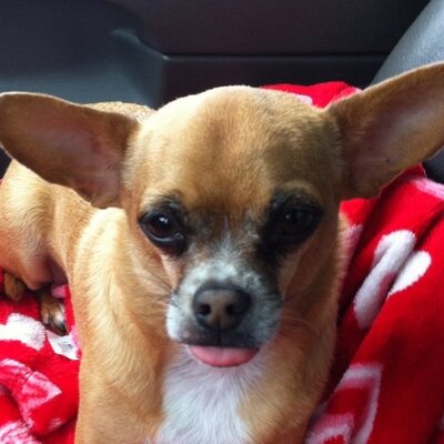 Wesley Champ - Twitter Profile Picture of Wesley Champ (@champ_wesley) on Twitter