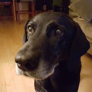 Profile Picture of Drew Pekala (@MSUDrew) on Facebook