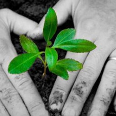 Profile Picture of Andy Wheatley (@magoorecruit) on Twitter