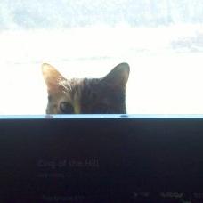 Profile Picture of Michelle Biller (@michelle_biller) on Twitter