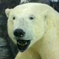 Profile Picture of Barry Tolf (@barry-tolf) on Quora