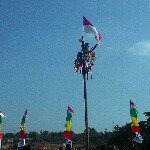 Profile Picture of Eis david (@david.eis) on Instagram