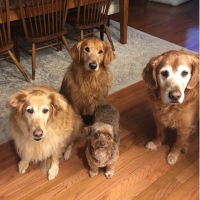 Profile Picture of Justin & Michelle (@k9lovers) on Twitter